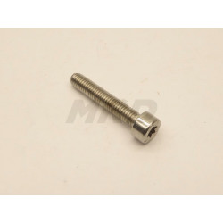 VIS TORX